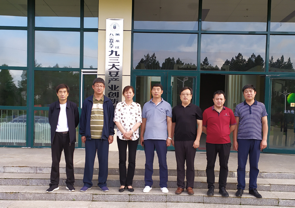 中文字幕乱码亚洲无线三区