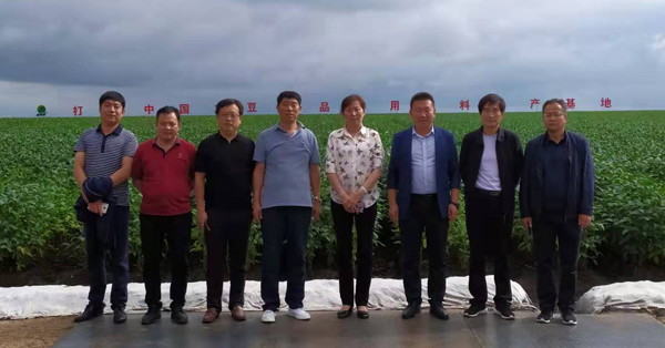 中文字幕乱码亚洲无线三区
