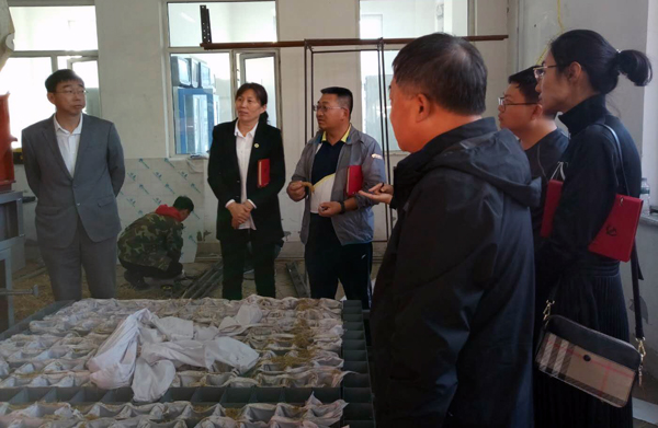 中文字幕乱码亚洲无线三区