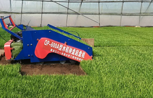 中文字幕乱码亚洲无线三区