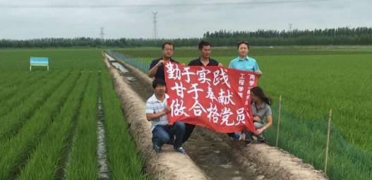 中文字幕乱码亚洲无线三区